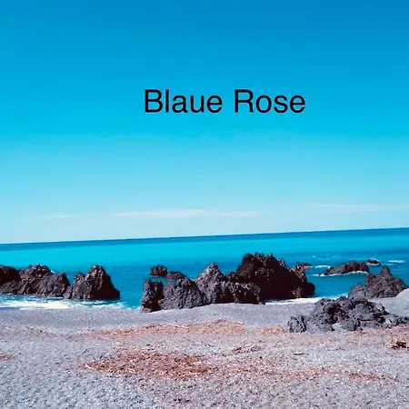 Apartment Blaue Rose *